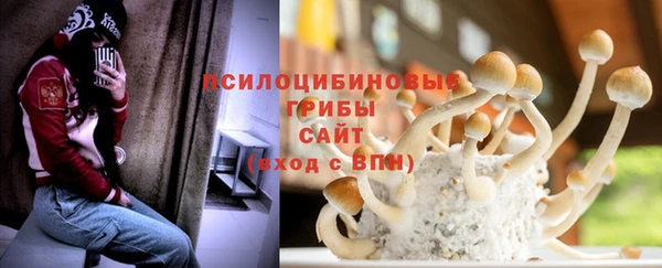 прущие крисы Чердынь