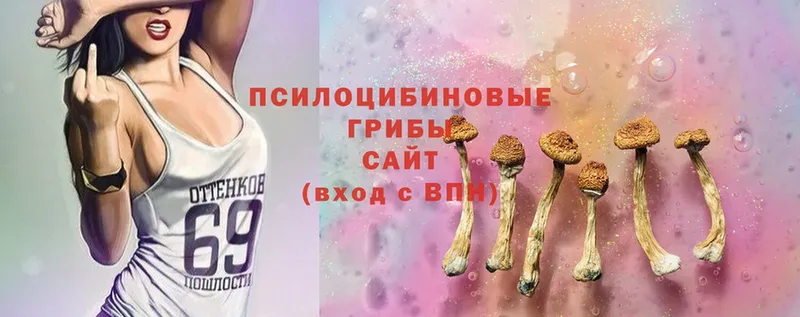 где купить наркоту  Нефтекамск  Галлюциногенные грибы Magic Shrooms 